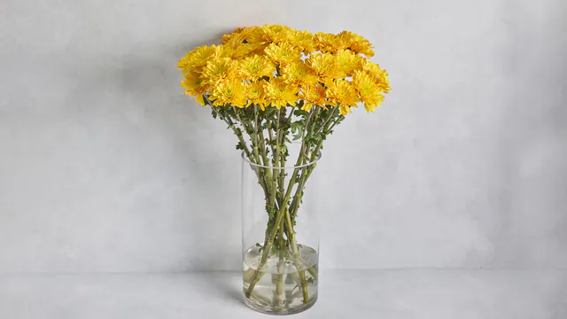 Chrysanthemum Bunch