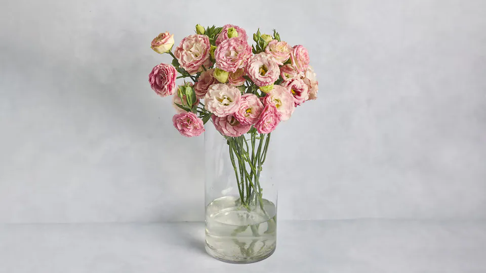 Lisianthus Bunch: image 1