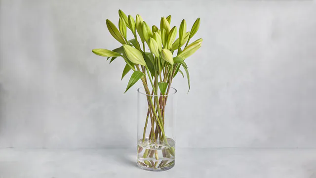 White Madonna Lily Bunch