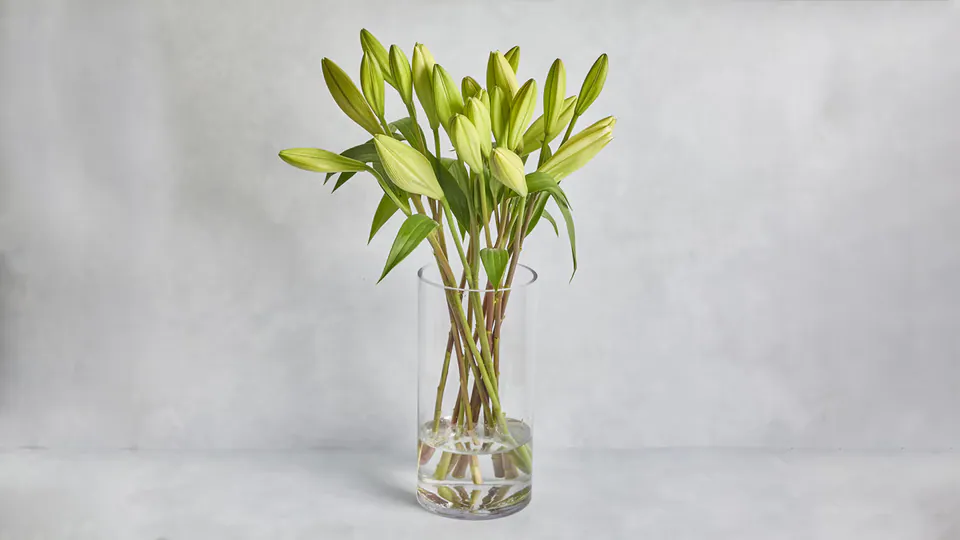 White Madonna Lily Bunch: image 1