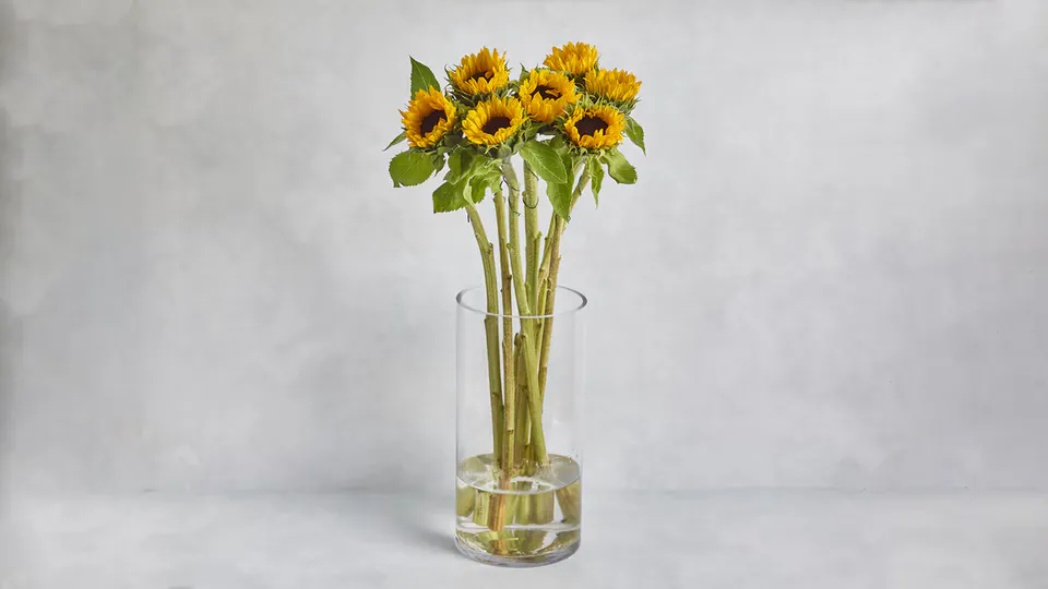 Sunflower Bunch: image 1