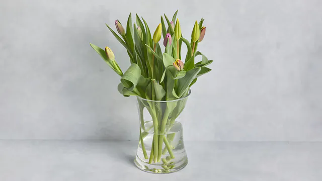 Tulip Bunch