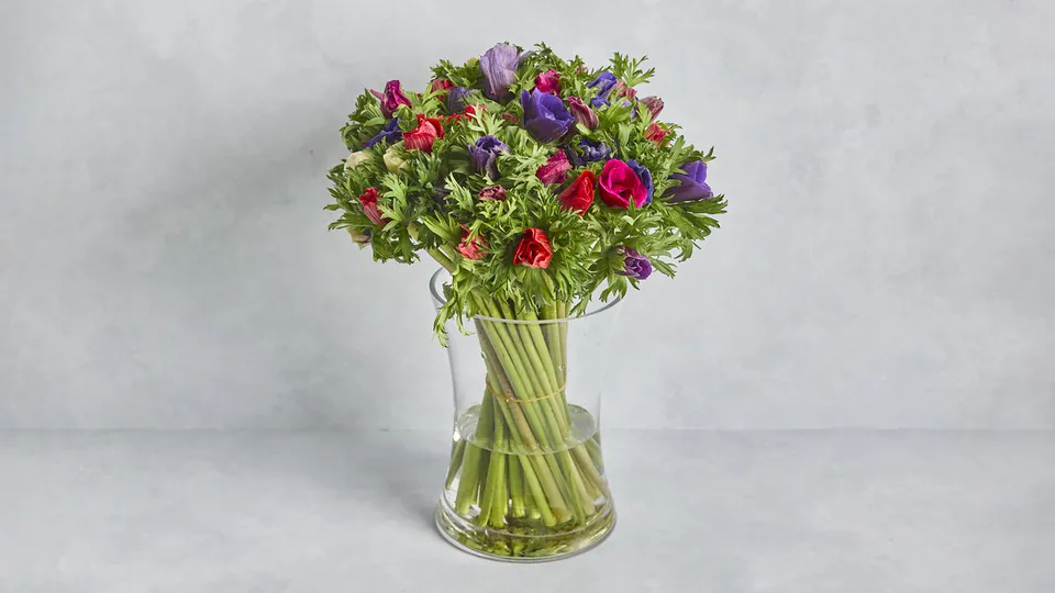 Anemone Bunch: image 1