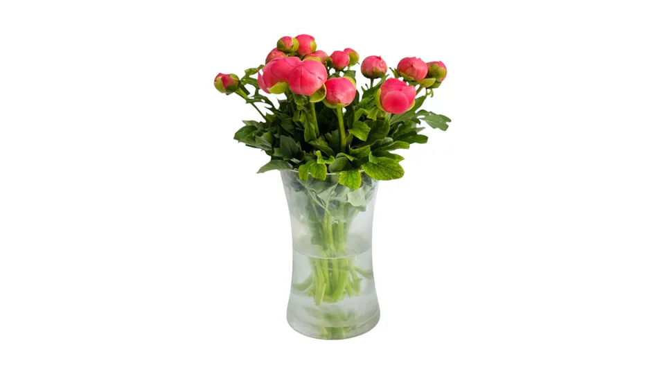 Botte de pivoines — 25 tiges