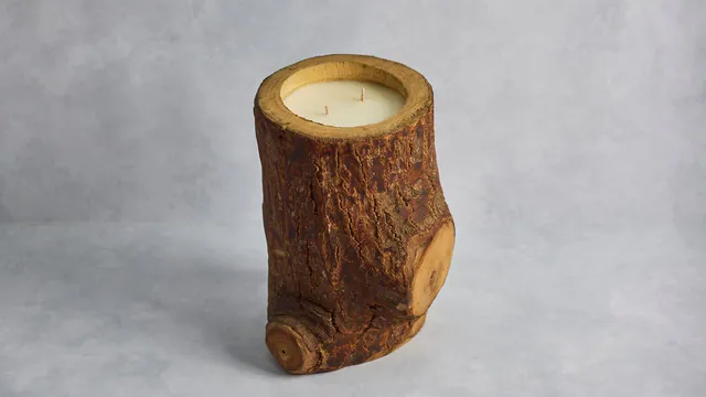 The Ancient Trunk Candle