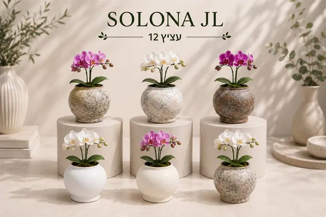 Pot à orchidée Solona 12