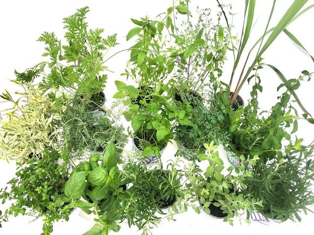 Herb Mix Box