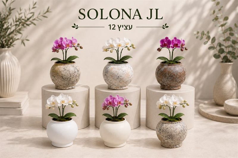 Pot à orchidée Solona 12
