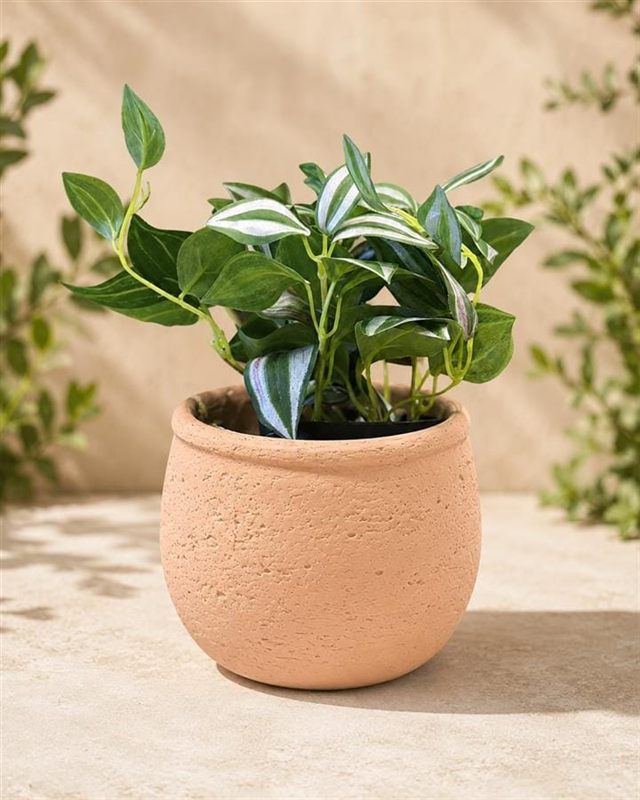 Pot en béton terre cuite